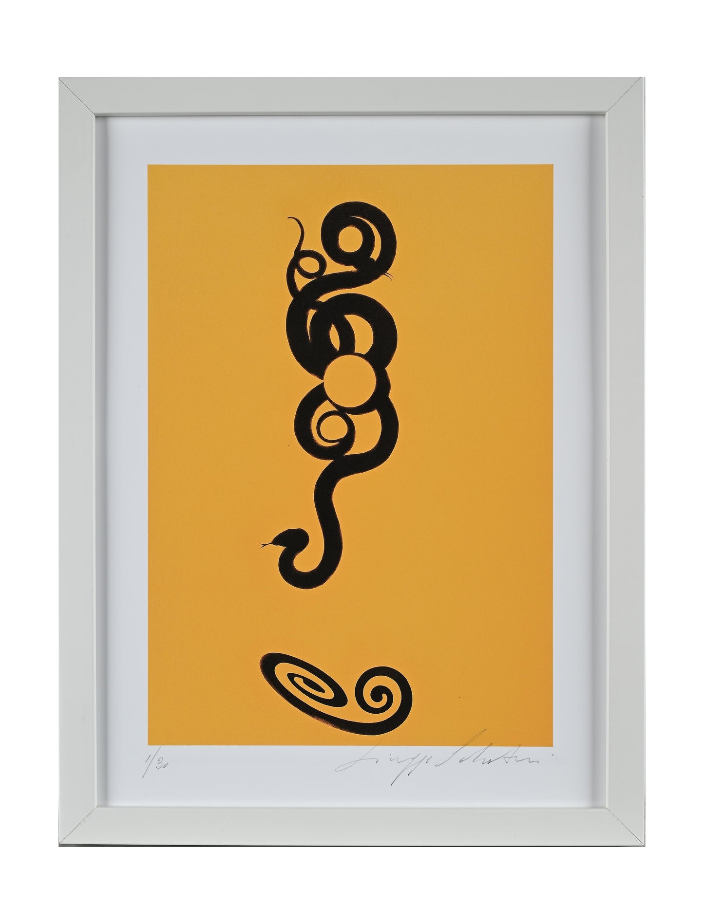 Amabile Serpente - Giuseppe Salvatori