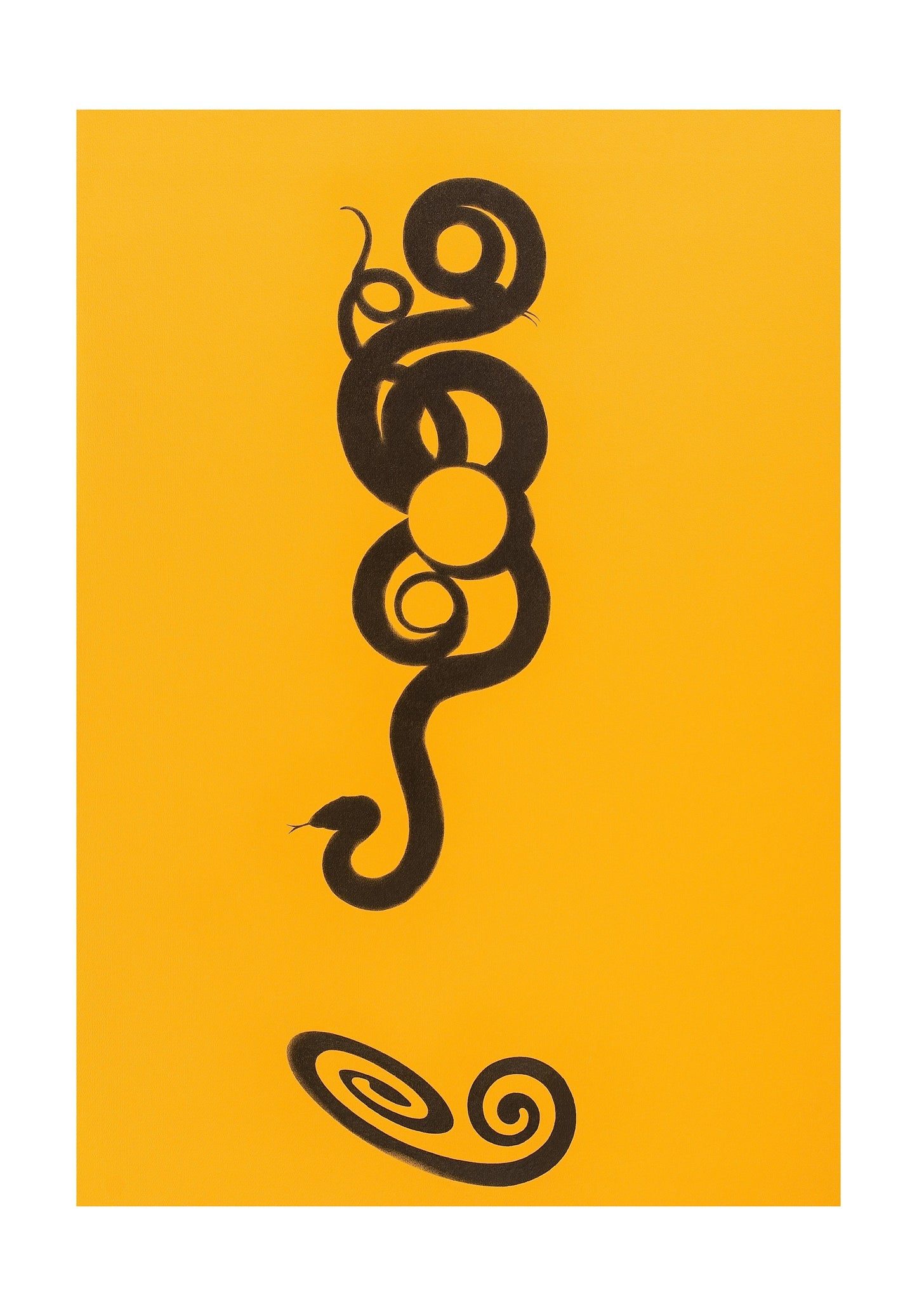 Amabile Serpente - Giuseppe Salvatori